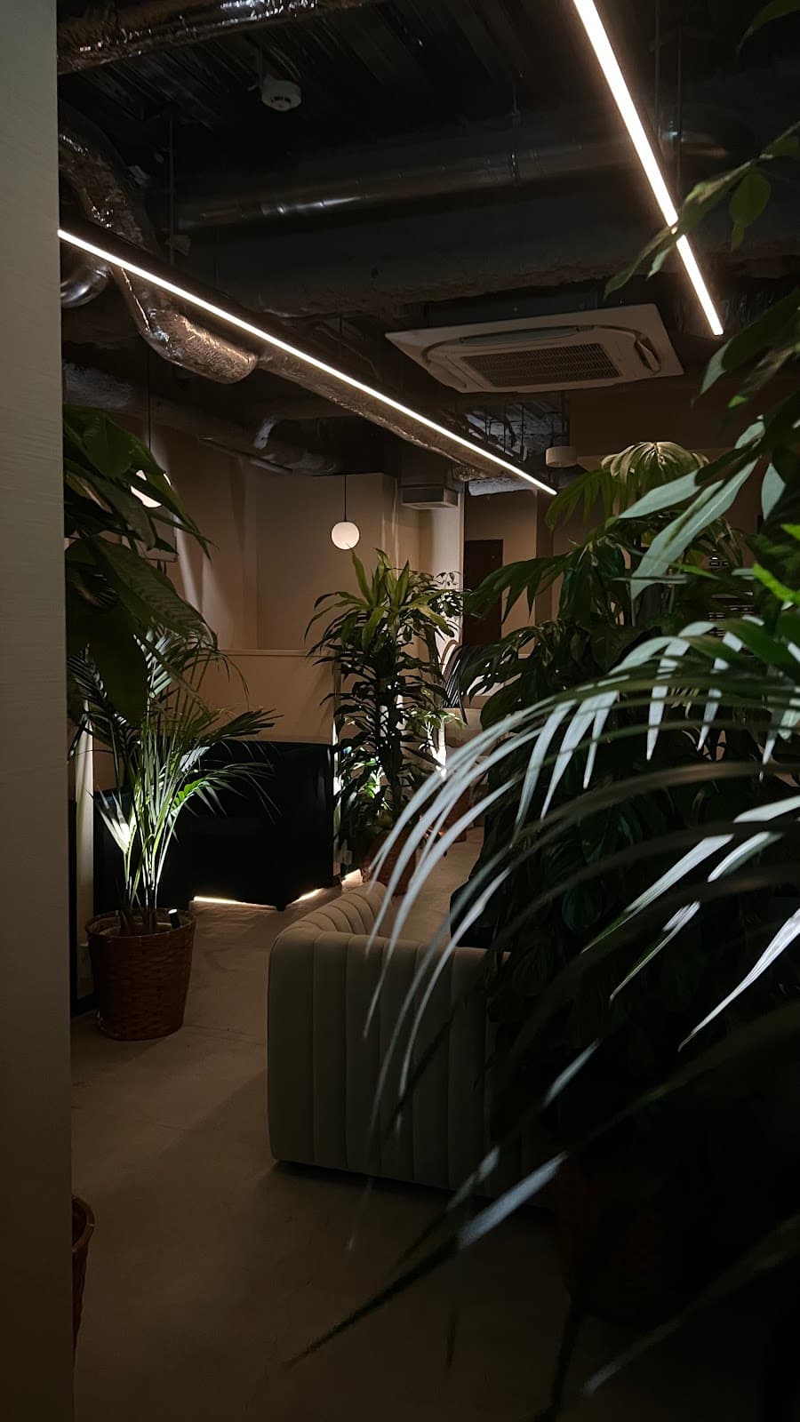 Rest Shisha Cafe&Barのカバー画像