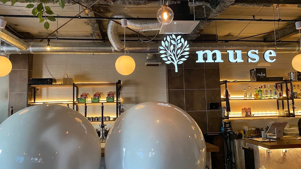 muse 横浜西口店のカバー画像