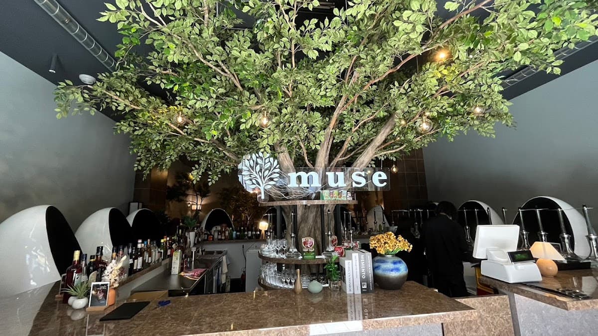 シーシャカフェ&バー muse/ミューズ 札幌店(hookah lounge muse)のカバー画像