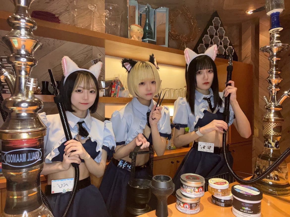 あにぽりのカバー画像