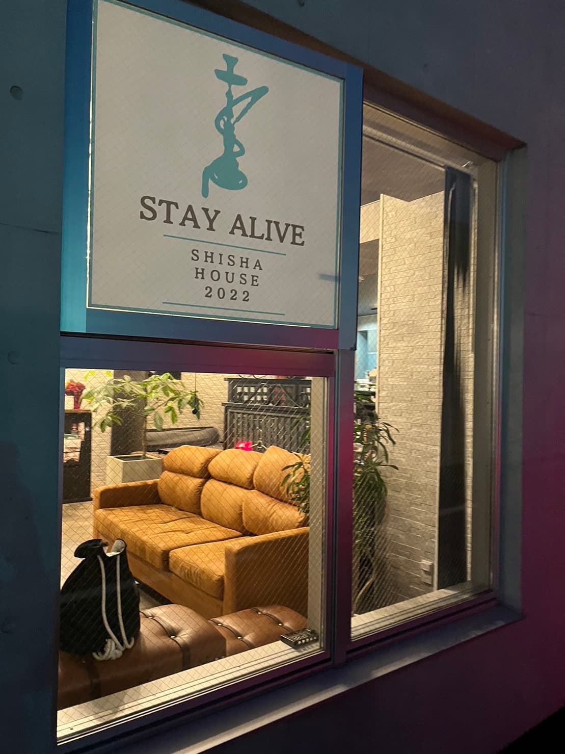 STAY ALIVE -SHISHA HOUSE-のカバー画像