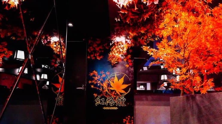 シーシャカフェ紅洛煙のカバー画像
