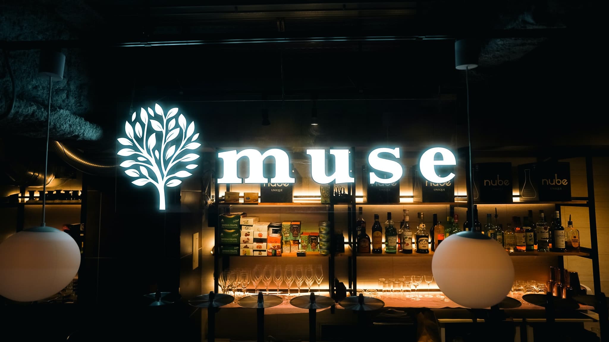 muse 六本木店のカバー画像